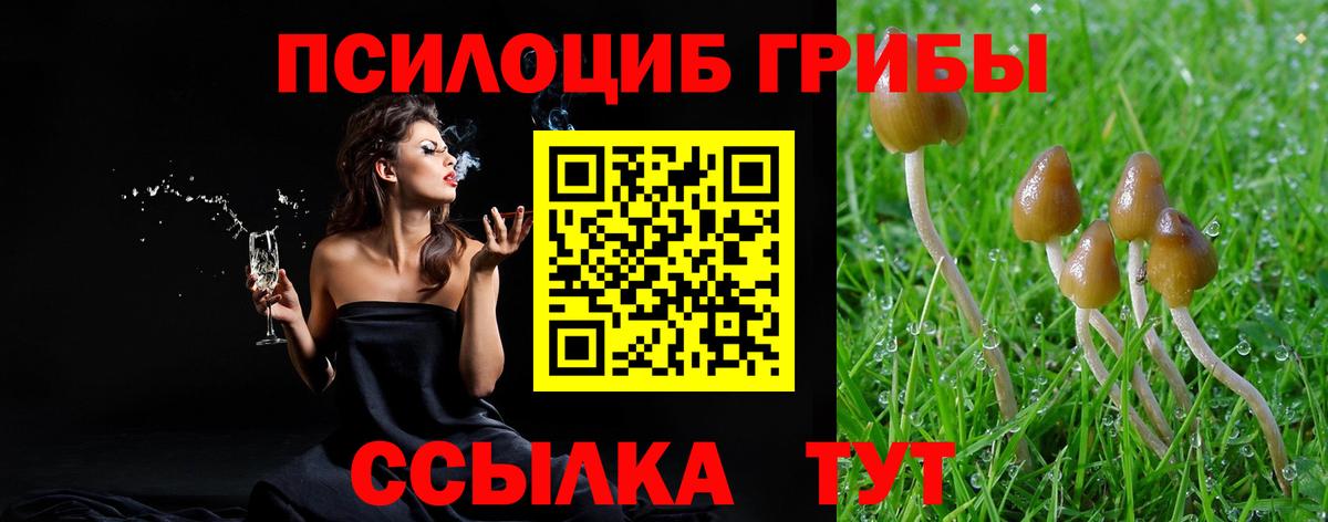 Псилоцибиновые грибы прущие грибы  Вход с VPN  Галлюциногенные грибы Magic Shrooms  Луга 