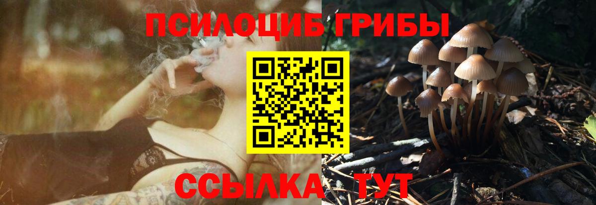 Псилоцибиновые грибы Psilocybe Луга